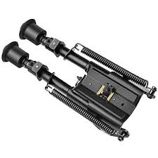 BIPOD CV