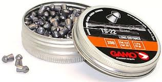 GAMO TS
