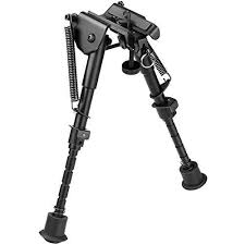 BIPOD CV